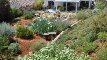 Controlling weeds, conserving water, and making the area more attractive are just a few of the benefits of mulch.