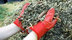 Green waste mulch is low to no cost, and good for the soil. Credit: Landscape for Life