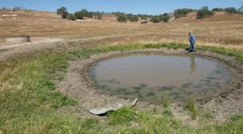 On average cows require 15 gallons of water a day and growing steers and heifers require 5-10 gallons a day