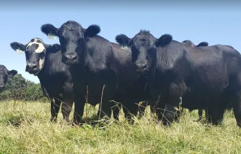 Photo Credit: Sarah Klopatek