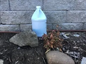 photos by Tina Saravia