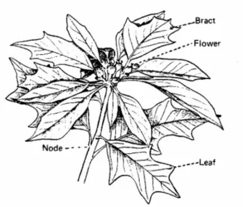 Diagram Credit: aces.nmu.edu