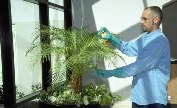 Always wear proper protection when applying pesticides. UC ANR