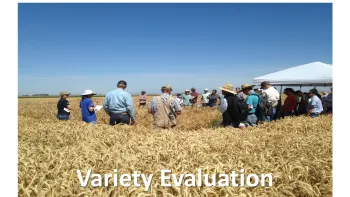 Variety Evaluation