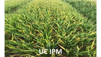 UC IPM