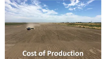 Cost of Production