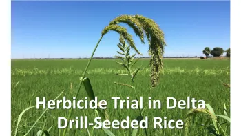 Herbicide Trial
