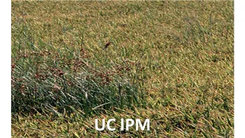 UC IPM
