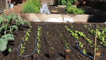 Rich soil is a necessity in a vegetable garden. Photo: Gael Perrin