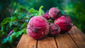 Beets are easy to grow from seed. Tracy Lundgren, Pixabay