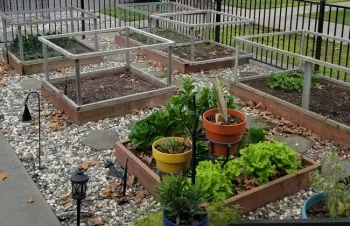Raised bed preparation. (T. Pellegrini)