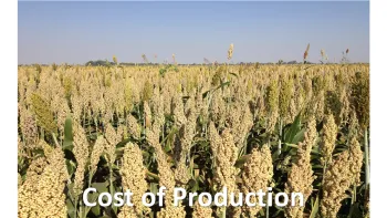 Cost of Production
