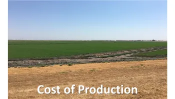 Cost of Production