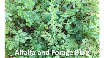 Alfalfa Blog