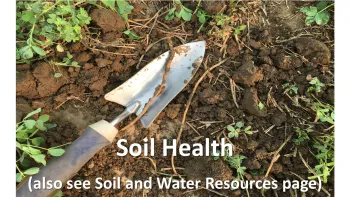 Soil Health