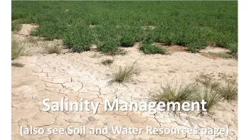 Salinity Management