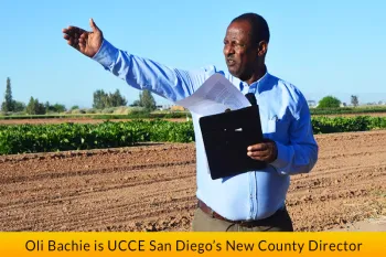 Featured-Stories-Oli-Bachie