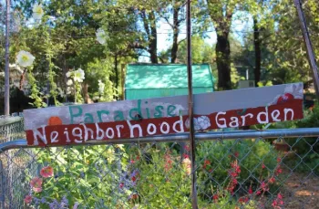 Garden in bloom pre-Camp Fire