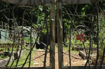 Whimsical garden gates pre-Camp Fire