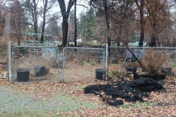 Fire aftermath - Charred ruins of Paradise Community Gardens
