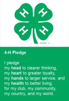 4-H-Pledge