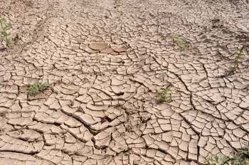 Drought. Photo from Pixabay