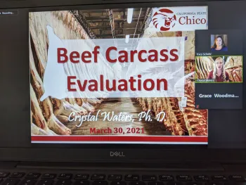 PXL_20210331_003820950