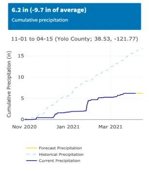 Figure 1 Cumulative rainfall from November 1st 2020 to April 6, 2021 (from the UC Davis Small Grains California Weather Web-Tool). Historical averages are typically around 16.6” for this time of the year. This year the area near Davis, CA has received 6.2” (37% of the annual average).