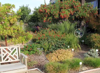 A variety of resources for beneficials