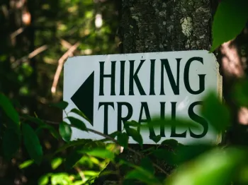 photo Ronan Furuta- Unsplash