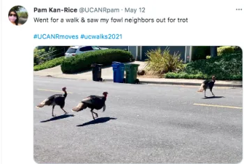 Pam Kan-Rice won a social media award for this turkey tweet.