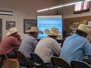 PXL_20210617_010329155.MP