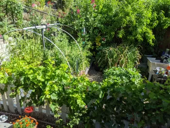 Lovely small garden space - photo credit Jim Farr
