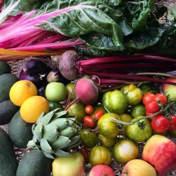 Beautiful Bounty from the Strub Avenue Community Garden