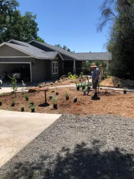 Placing the plants on rebuilt lot in Paradise, Debi Durham