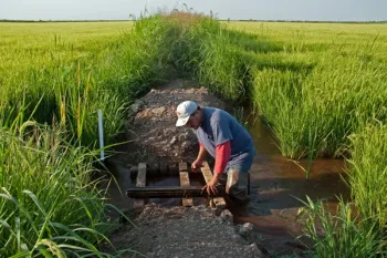 Montna Boards 82113 Lres