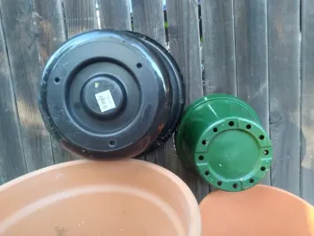 aug blog pots with holes