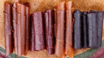 Fruit leathers