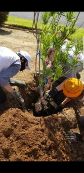 tree planting in low tree canopy neighborhoods in north redlands