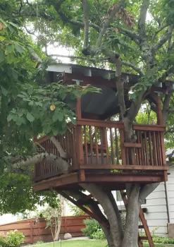 treehouse