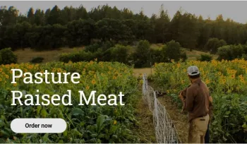 Image from AM Ranch website