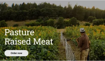 AM Ranch website image