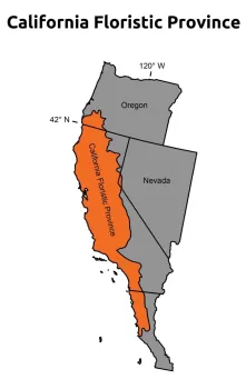 California Floristic Province, Dylan Burge