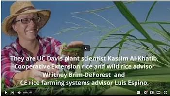 Screen Shot 2021-10-14 at 1.17.03 PM