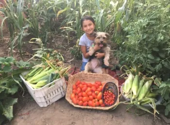 efnep mg mfp garden integration san bernardino