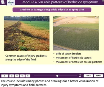 Example screen from the course