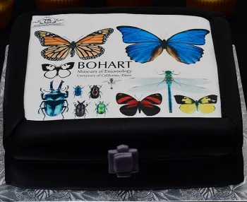 The Bohart-motif cake featured a monarch, morpho and dogface butterfly, along with a dragonfly and assorted beetles.