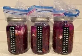 kraut day 0 temperature 2