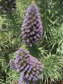 by Leslie E. Stevens