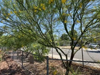 CBWCD study photo overview of neighborhood